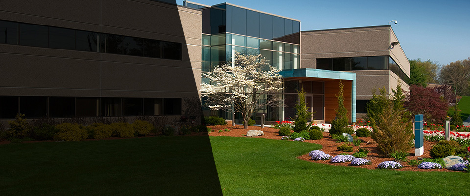 Eliot Landscapers