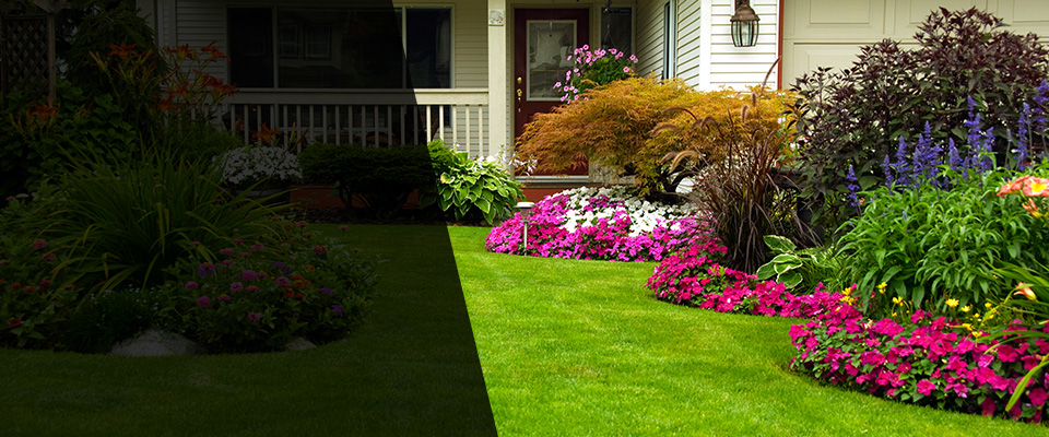 Eliot Landscapers