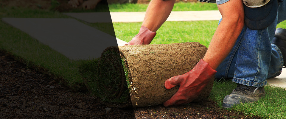 Eliot Landscapers